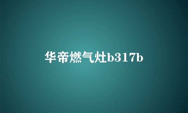 华帝燃气灶b317b