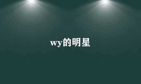 wy的明星