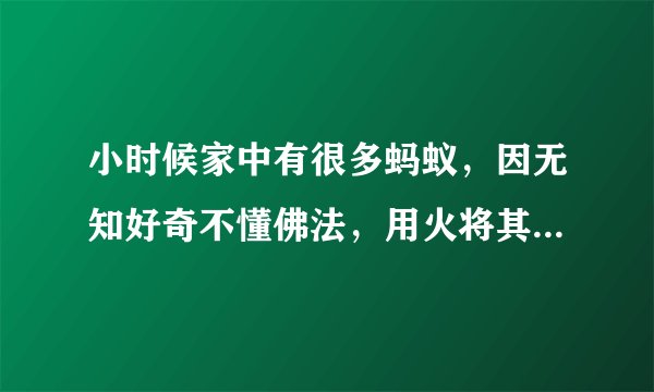 小时候家中有很多蚂蚁，因无知好奇不懂佛法，用火将其烧死，现在很后悔，希望大德指点如何忏悔和补救？