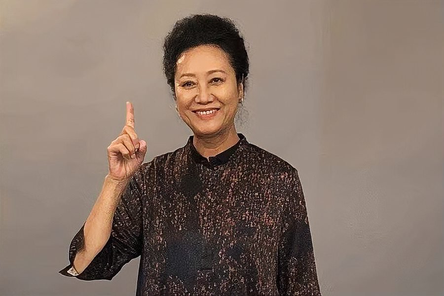 丈母娘来了电视剧演员表