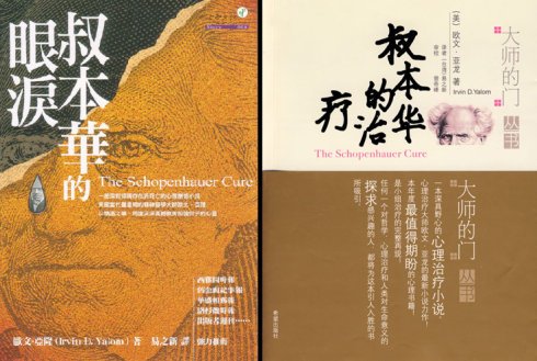 叔本华的眼泪的作者简介：