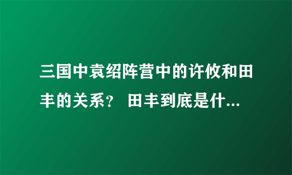 三国中袁绍阵营中的许攸和田丰的关系？ 田丰到底是什么一个人？