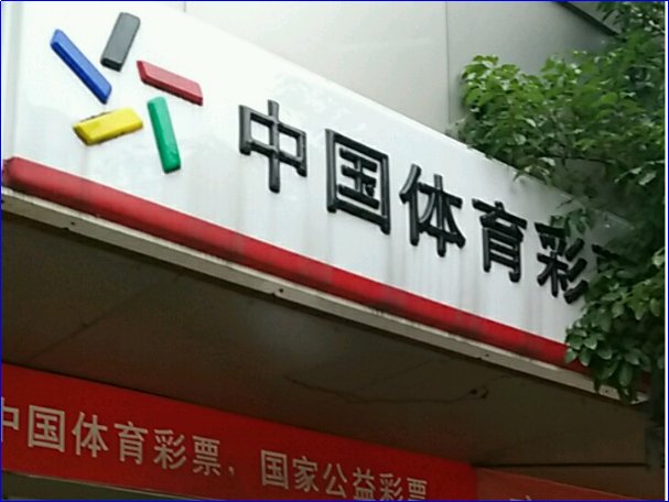 我国体育彩票的特点是什么