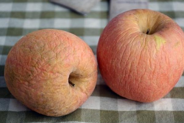 干瘪的正确读音