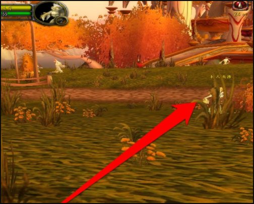 WOW血精灵逐日岛任务详尽流程