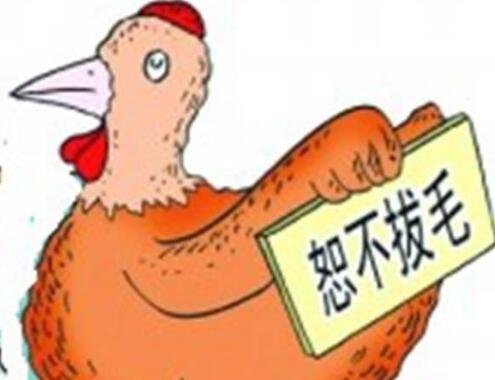 小家子气是什么动物