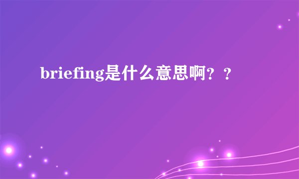 briefing是什么意思啊？？