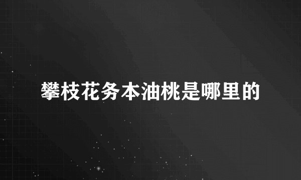 攀枝花务本油桃是哪里的