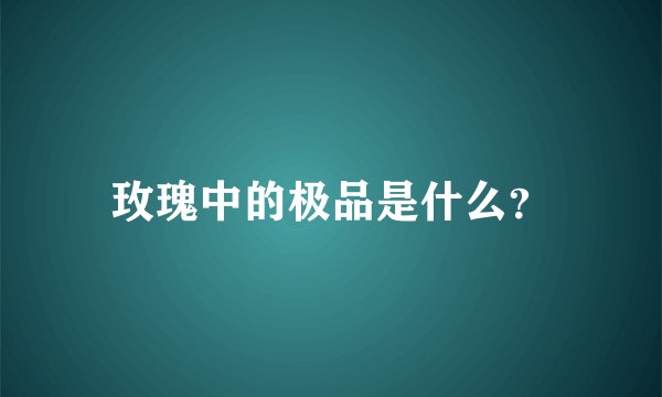 玫瑰中的极品是什么？