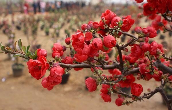 同感和认同的区别？