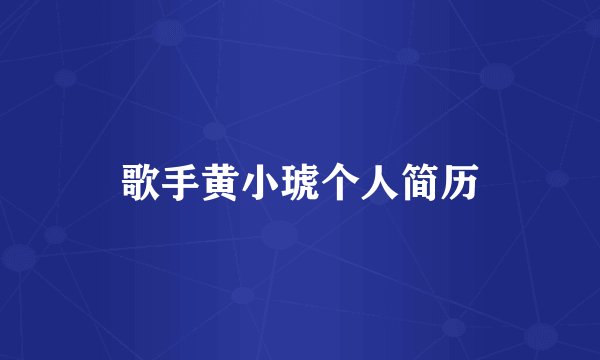 歌手黄小琥个人简历