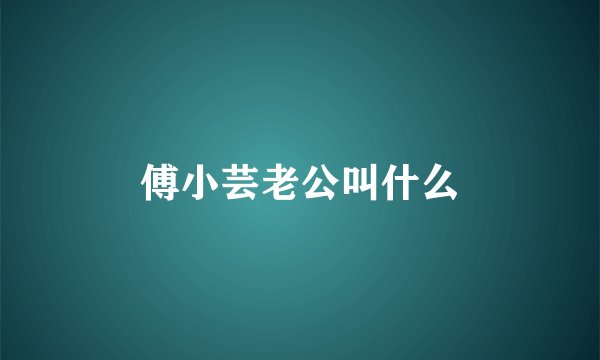 傅小芸老公叫什么