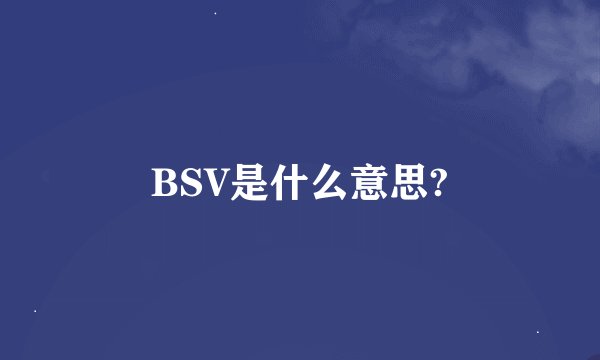 BSV是什么意思?