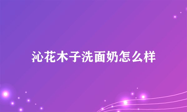 沁花木子洗面奶怎么样