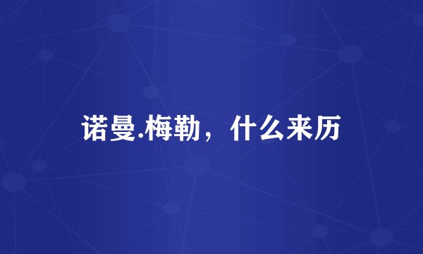 诺曼.梅勒，什么来历