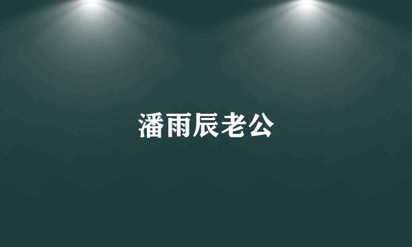 潘雨辰老公