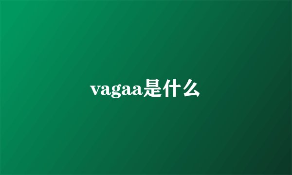 vagaa是什么