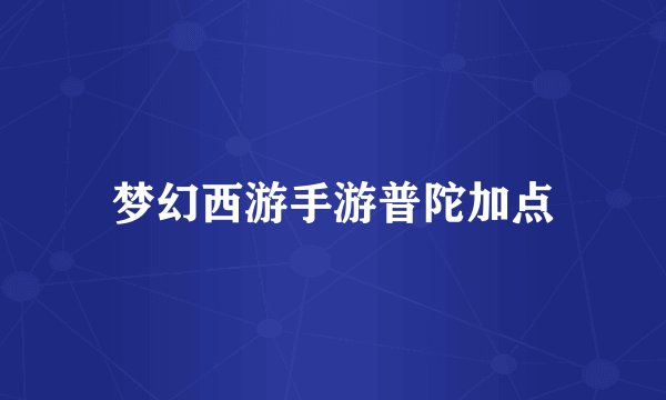 梦幻西游手游普陀加点