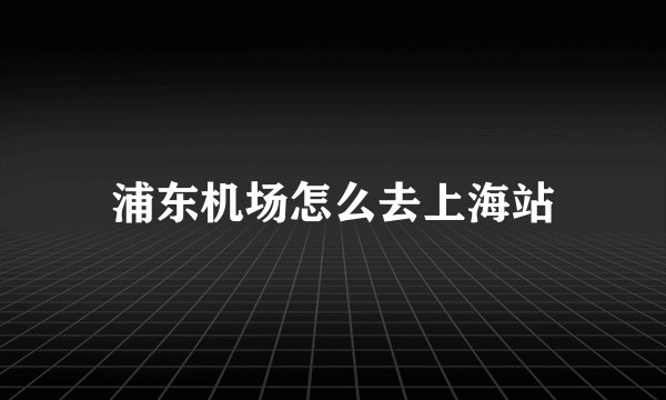 浦东机场怎么去上海站