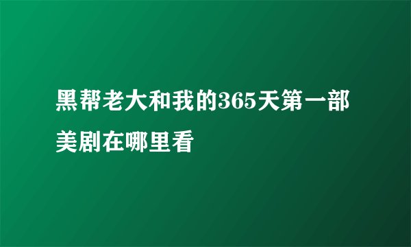 黑帮老大和我的365天第一部美剧在哪里看