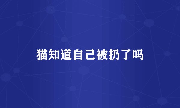 猫知道自己被扔了吗
