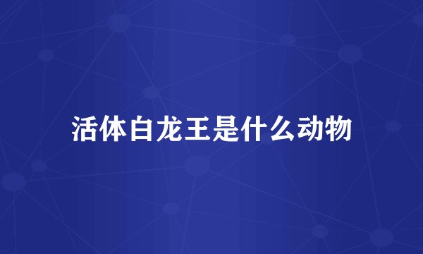 活体白龙王是什么动物