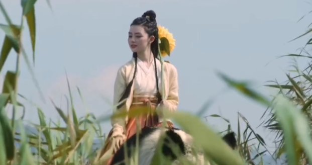 雪中悍刀行骑熊猫少女结局