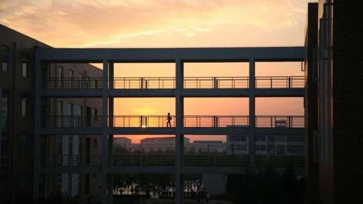 关于河南科技大学男女混住一事,其学校是如何回应的?