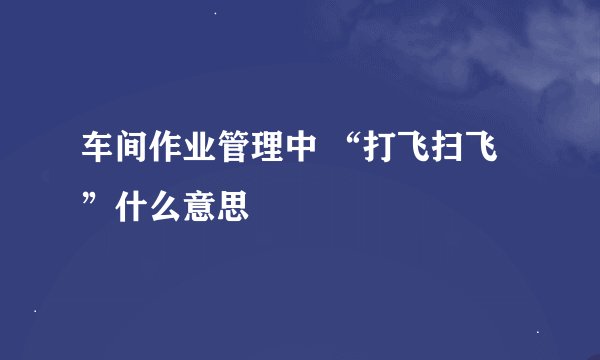 车间作业管理中 “打飞扫飞”什么意思