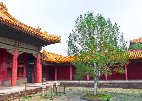 有哪些红色教育基地？