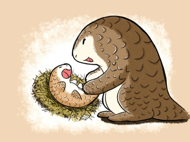 穿山甲用什么捕食蚂蚁?