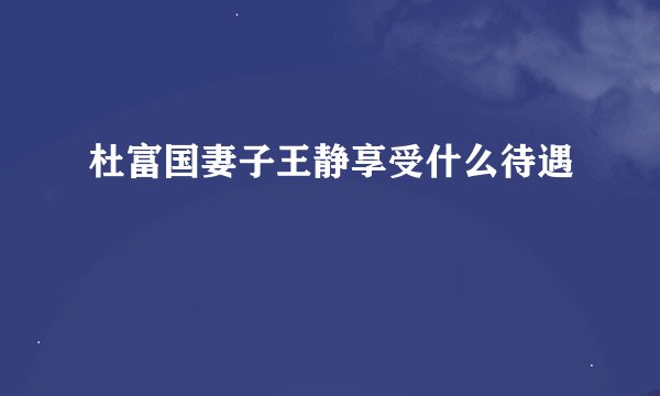 杜富国妻子王静享受什么待遇