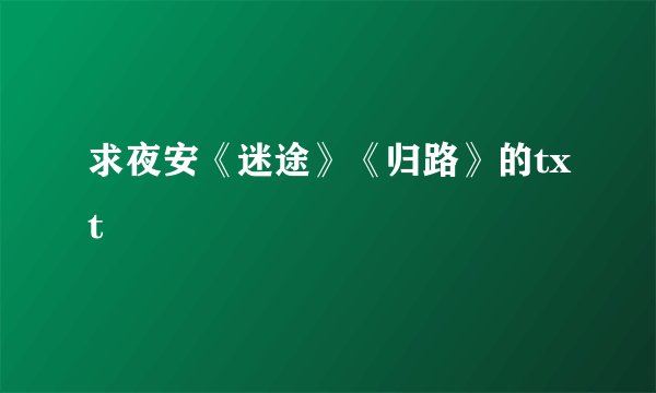 求夜安《迷途》《归路》的txt