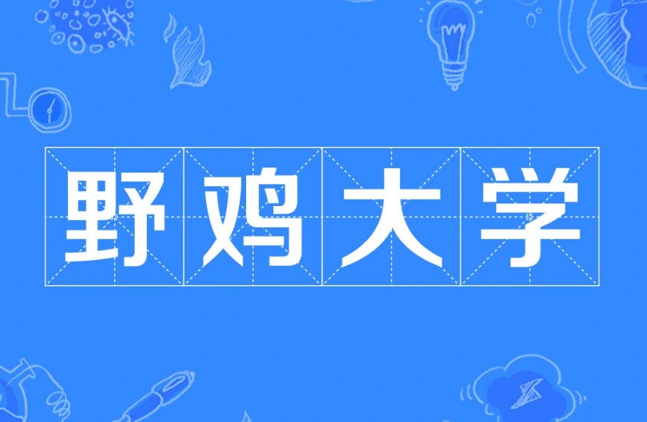 wild chicken university是什么大学？