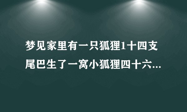 梦见家里有一只狐狸1十四支尾巴生了一窝小狐狸四十六只是什么意思？