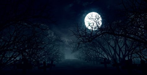 白天和夜晚有什么区别?