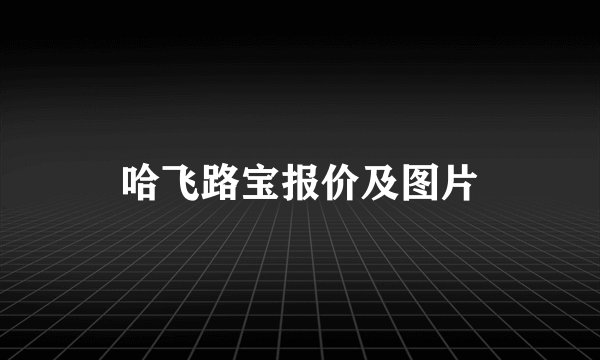 哈飞路宝报价及图片