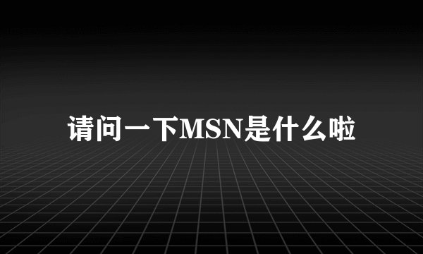 请问一下MSN是什么啦