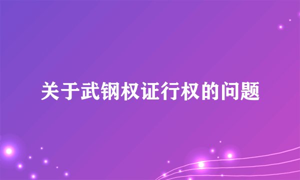 关于武钢权证行权的问题