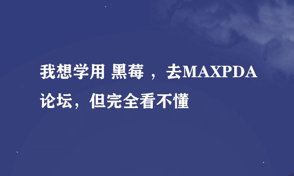 我想学用 黑莓 ，去MAXPDA论坛，但完全看不懂