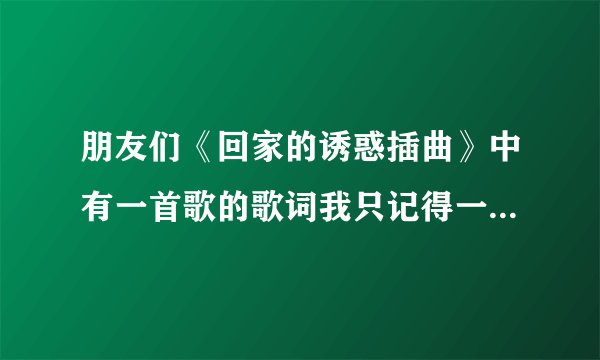 朋友们《回家的诱惑插曲》中有一首歌的歌词我只记得一句；夜太冷…请问你们知道歌名吗？