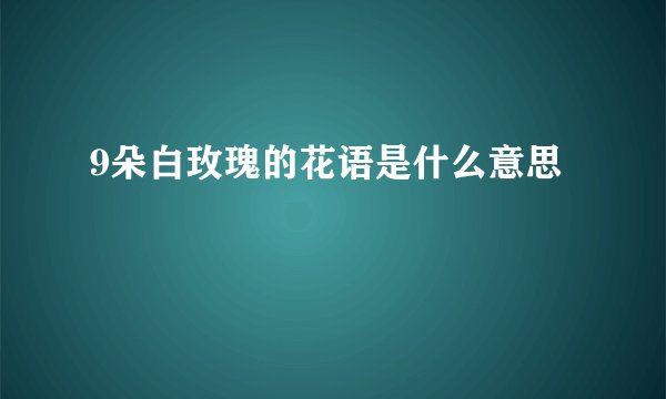 9朵白玫瑰的花语是什么意思