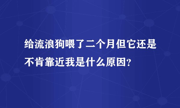 给流浪狗喂了二个月但它还是不肯靠近我是什么原因？