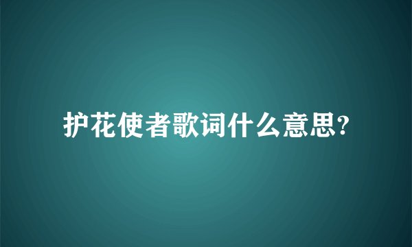 护花使者歌词什么意思?