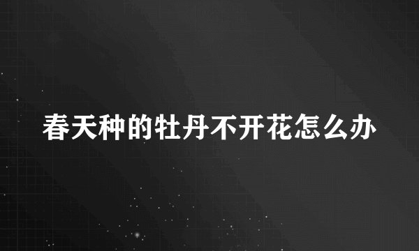 春天种的牡丹不开花怎么办