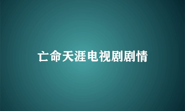 亡命天涯电视剧剧情