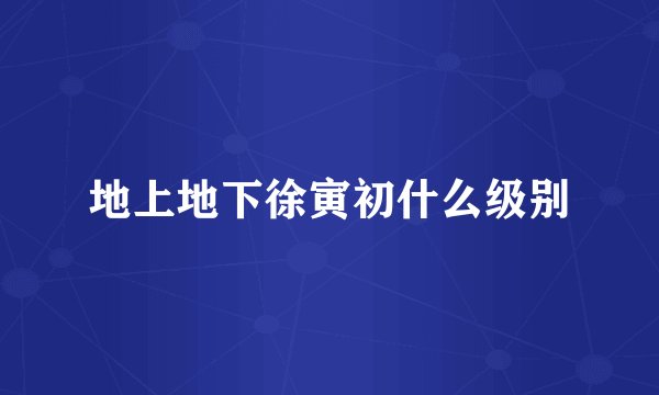 地上地下徐寅初什么级别