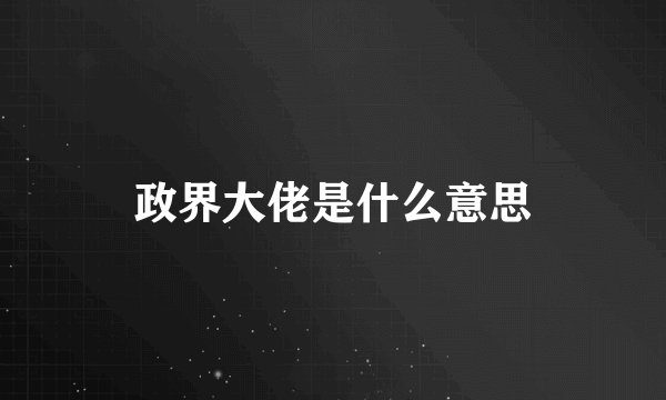 政界大佬是什么意思