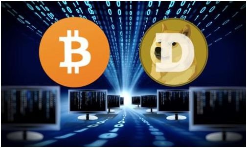 马斯克的这句话竟让狗狗币雪崩式狂泻，马斯克为何如此不看好狗狗币？