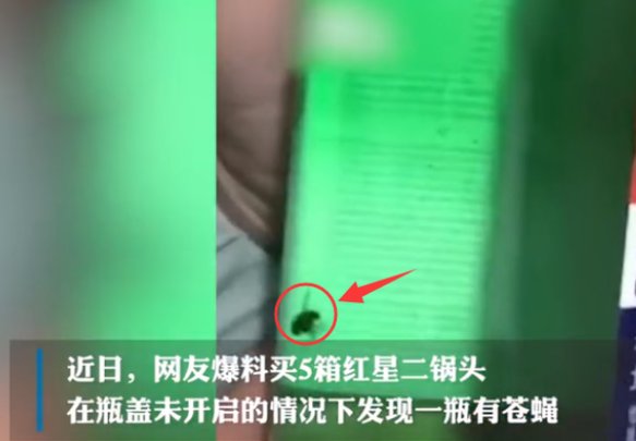 红星二锅头回应酒里泡苍蝇说了什么？